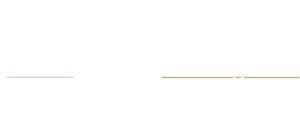 Mr Da Vinci